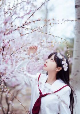 侏罗纪公园1在线观看免费完整版_1080P在线观看完整版